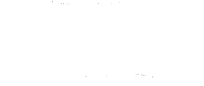 Arcady Capital Company